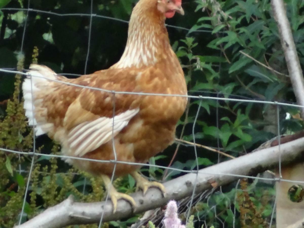 La Fermette Blanche *