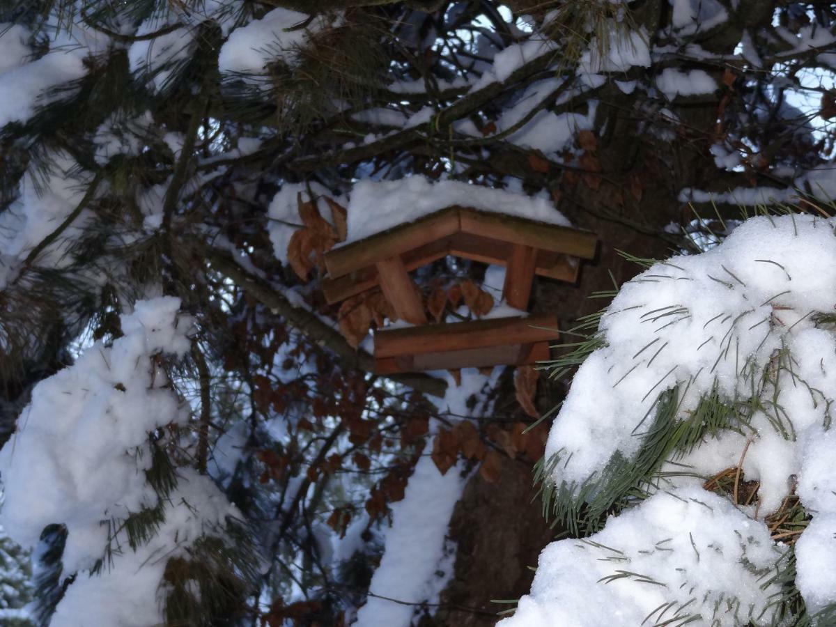 La Fermette Blanche Bed & Breakfast Nadrin